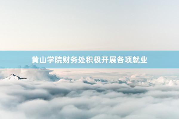 黄山学院财务处积极开展各项就业